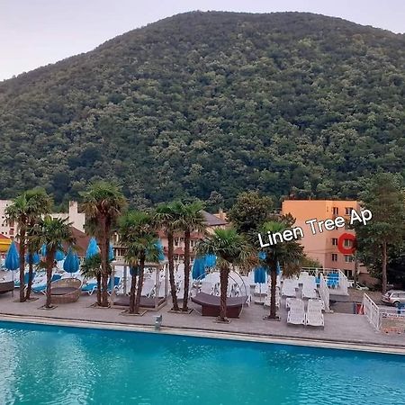 Linen Tree Apartment Байле Херкулане Екстериор снимка