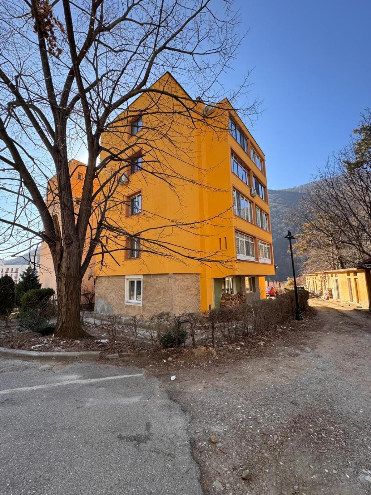 Linen Tree Apartment Байле Херкулане Екстериор снимка