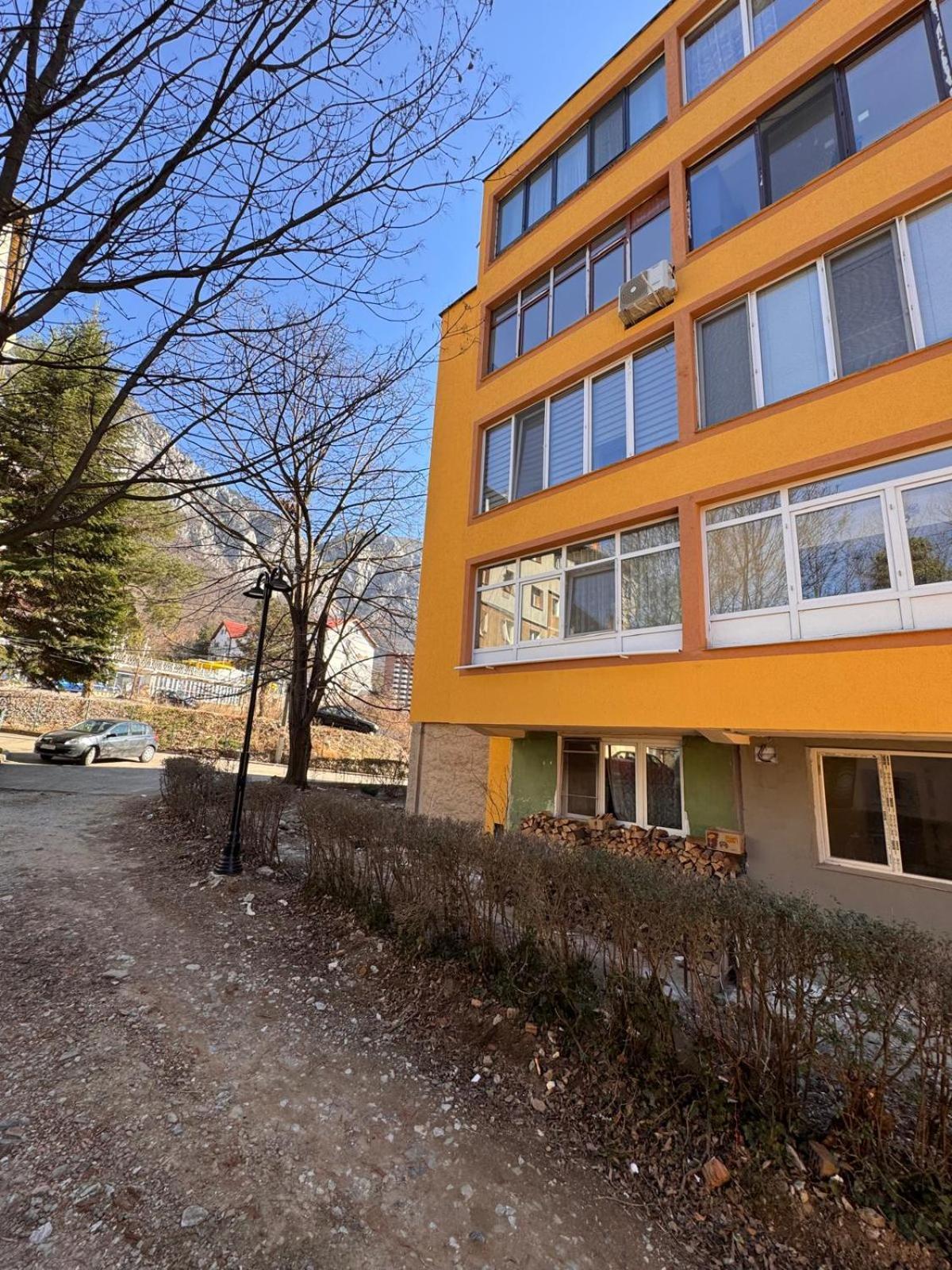 Linen Tree Apartment Байле Херкулане Екстериор снимка